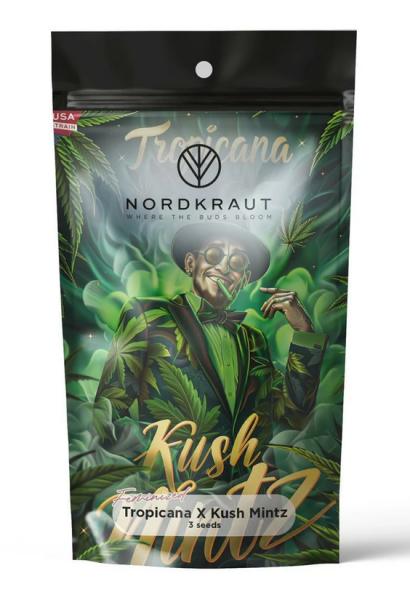Samen 3x Tropicana X Kush Mintz fem. Nordkraut
